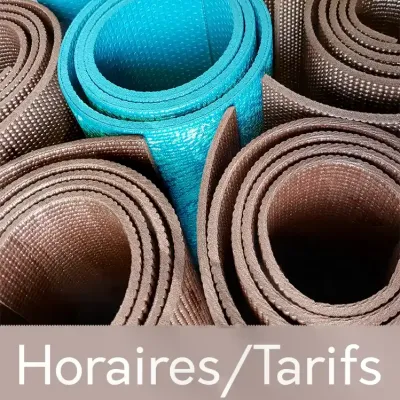 Horaires yoga shakti
