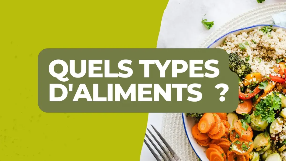 Quels types d aliments