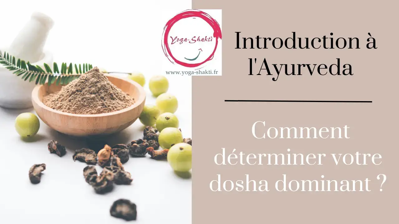 Comment déterminer votre dosha dominant avec l'Ayurveda