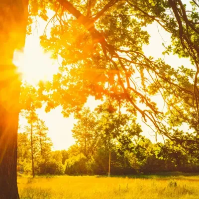 méditation matinale au lever du soleil à langoiran, pratique du yoga en plein air pour la paix intérieure