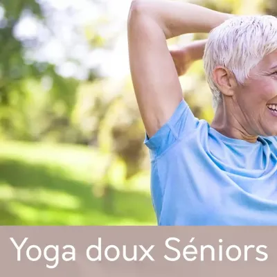 Yoga seniors yoga shakti